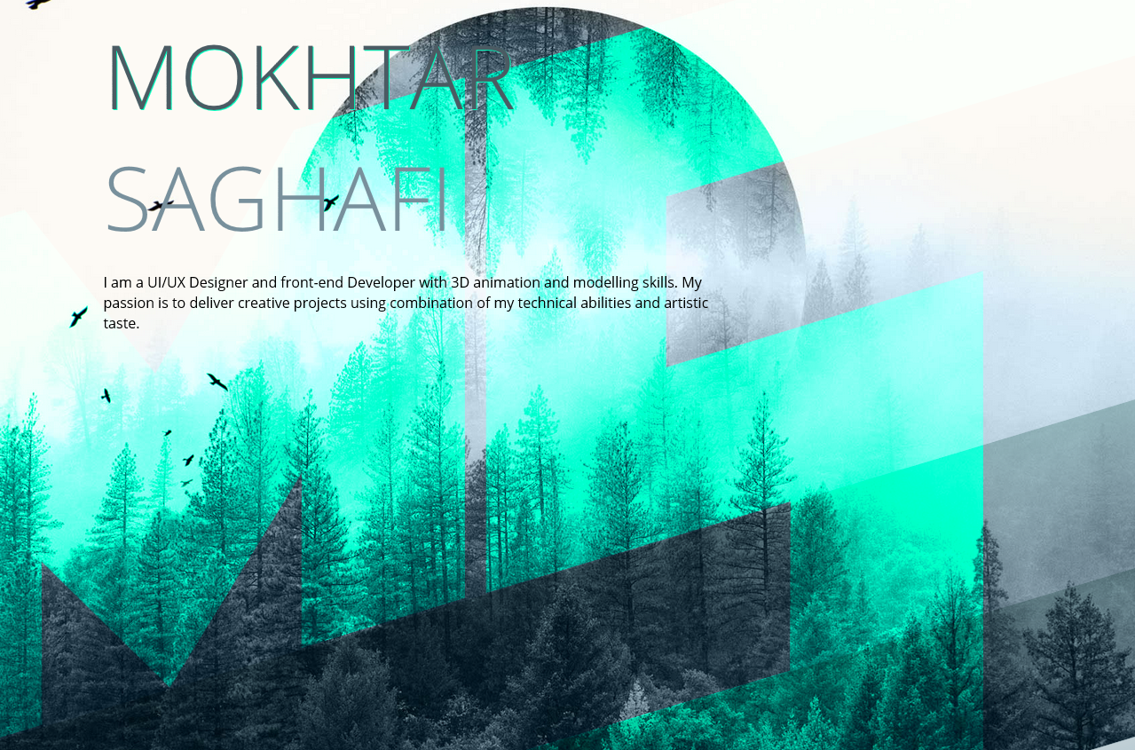mokhtarshagafi geometry in design