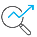 magnifier icon