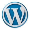 website security icon