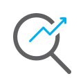 magnifier icon