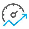 hosting speed icon