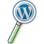 wordpress magnifier